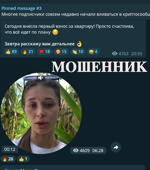 Козачкова Ирина Андреевна, мошенница